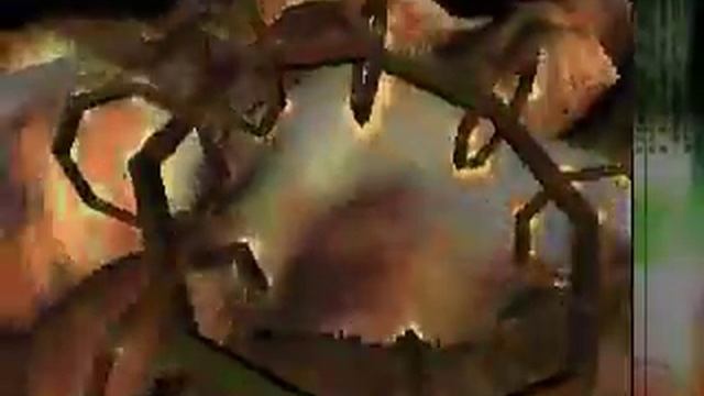 Eufrosyne - Time zone +13:00 (1997) смотреть онлайн