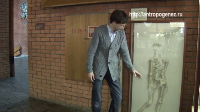 Станислав Дробышевский. Скелет австралопитека Люси. Достающее звено #15 смотреть онлайн