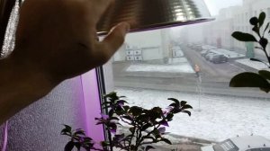 Утепляем подоконник для комнатных растений.