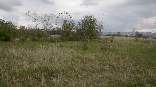 Сафари парк львов Тайган смотреть онлайн