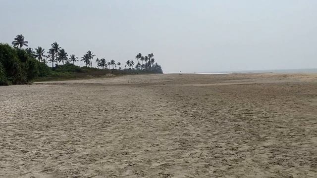 Где лучше, в Северном или Южном Гоа? Сравниваю цены в ресторанах, природу, пляжи и людей. смотреть онлайн