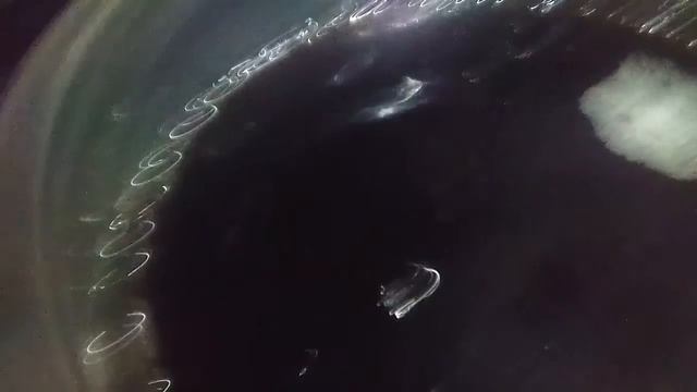 желе из колы смотреть онлайн