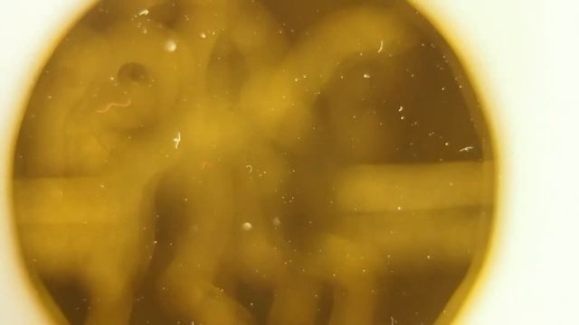 Olympus OM-D и макрокольца из Китая. Первый тест. смотреть онлайн