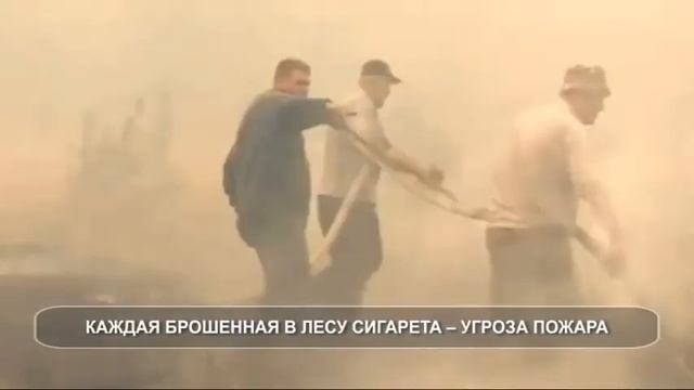Правила безопасности в лесу смотреть онлайн