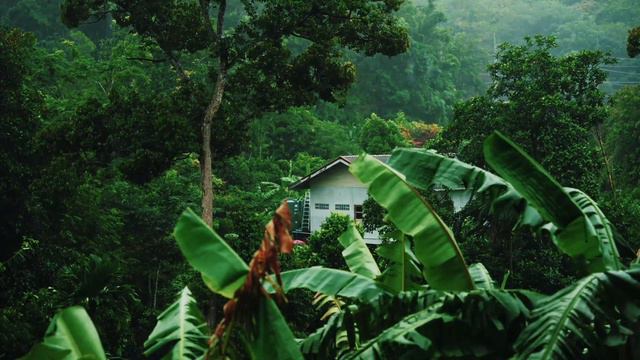 Zen Voyage - Meditation Music Vol. 8 🍃 Balinese Gamelan and Bansuri Flute смотреть онлайн