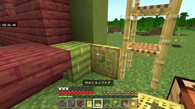 【種回収装置】スニッファー繁殖！種回収できるスニッファーのおうちを作る！　#73【女性実況】【マインクラフト　マイクラ　まいくら　Minecraft】 смотреть онлайн