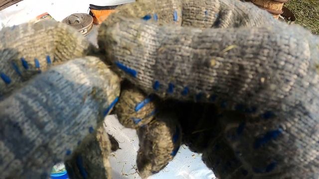 «SIAT» Леска / корд для триммера смотреть онлайн