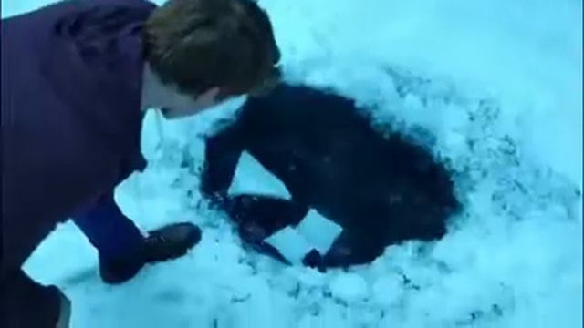 Самоубийство Шерил смотреть онлайн