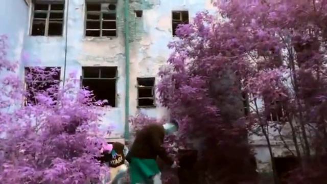 NILETTO танцует под песню NKI неважно между нами тысячи километров ✈️ смотреть онлайн