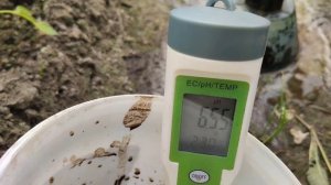 Измерение Ph и Ес почвы. Засоленность почвы.