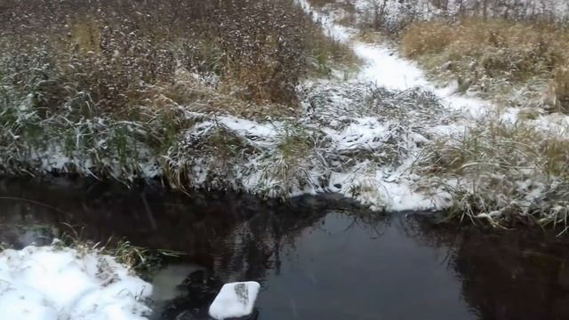 Вода для увлажнителя. смотреть онлайн