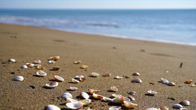 Мұхаммед сүресі, 47 сүре, Құран тыңдау смотреть онлайн