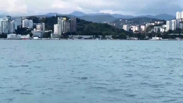 ВСТРЕТИЛИ ДЕЛЬФИНА В МОРЕ смотреть онлайн