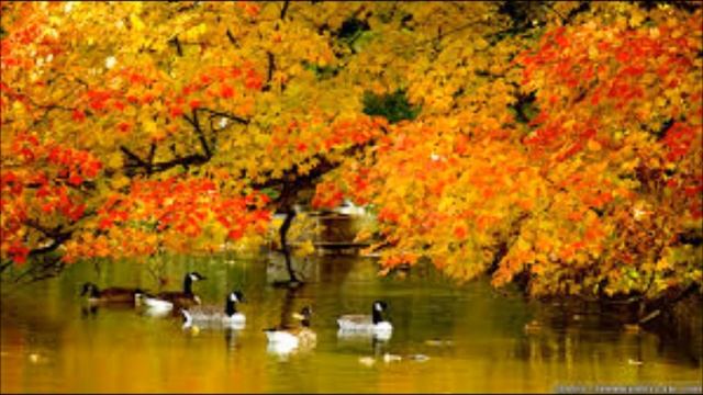 Jo Stafford  - Autumn In New York