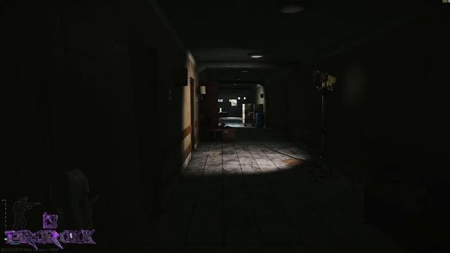 ESCAPE FROM TARKOV | КЛЮЧ ОТ НОМЕРА 220 ЗАПАДНОГО КРЫЛА смотреть онлайн