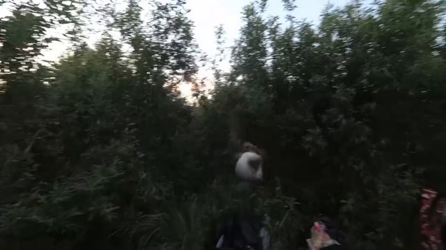 Рыбалка в Беларуси на Лоше. Фидер против закидух. Эксперименты с прикормом. смотреть онлайн