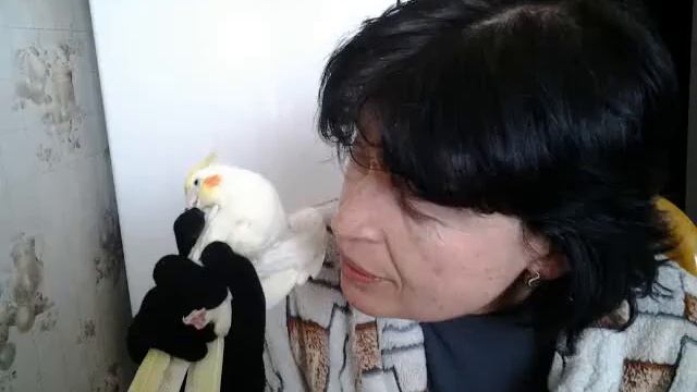 Наш Каррик. смотреть онлайн