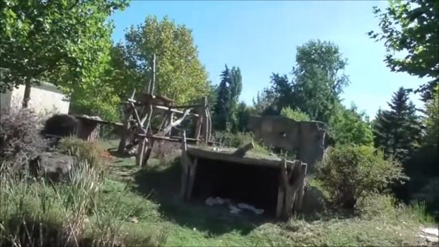 Зоопарк 2022 года в Варшаве №4 ГОРИЛЛА Zoo 2022 in Warsaw №4 GORILLA Zoo 2022 w Warszawie №4GORILL смотреть онлайн