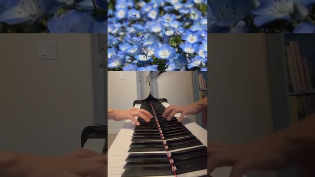 Secret Garden piano by Rolf Lovland. Flowers in Japan by Mr. Quu. Pianist myself Elisa смотреть онлайн