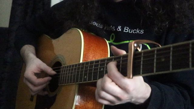 Shepherd Moons | Fingerstyle Guitar Arrangement [Enya] смотреть онлайн
