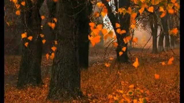 Вальс дождя смотреть онлайн