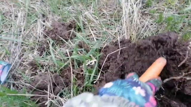 Разведка новых мест. И конечно СЕРЕБРО!!! смотреть онлайн