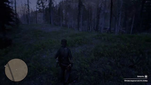 Red Dead Redemption 2 - Где найти пуму? смотреть онлайн
