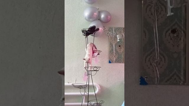 1000044845.mp4 смотреть онлайн