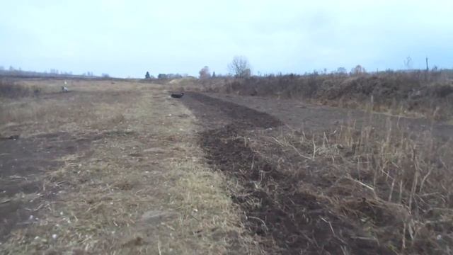 Меховые низколетающие птицы смотреть онлайн