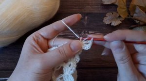 Вяжем бактус (шаль) "Жемчужина Нила" крючком. Легко❗раппорт всего 2 ряда.