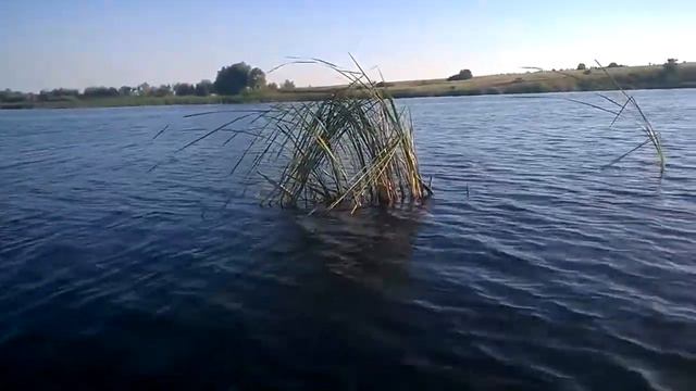 рыбалка на баме смотреть онлайн