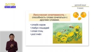 5-класс  | Pусский язык | Cинонимы и антонимы