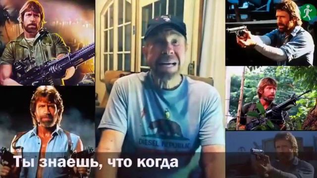 БЕЛАРУСЬ ЧАК НОРРИС обратился к Лукашенко смотреть онлайн