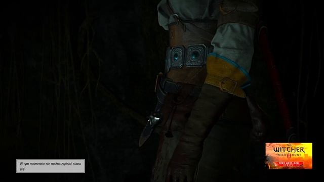 Zagrajmy w Wiedźmin 3 Dziki Gon Edycja Kompletna [Next Gen] Historia Ciri odc.10 смотреть онлайн