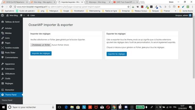 WordPress : sauvegarder les réglages du thème Ocean WP смотреть онлайн