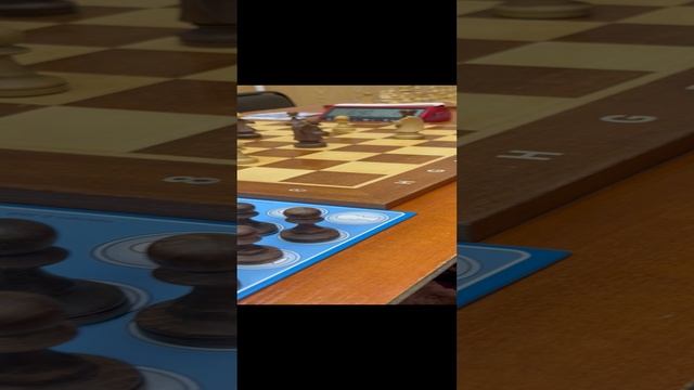 Капельные шахматы смотреть онлайн