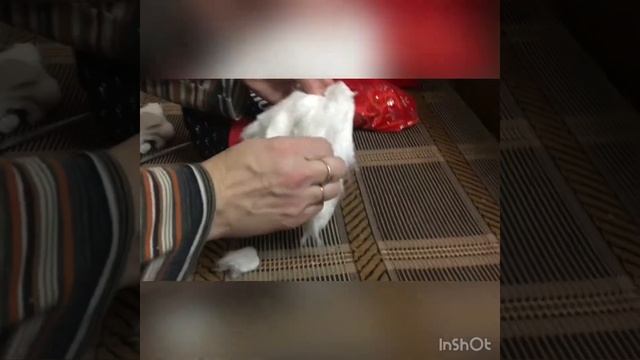 Новооодний Гномик из носков смотреть онлайн