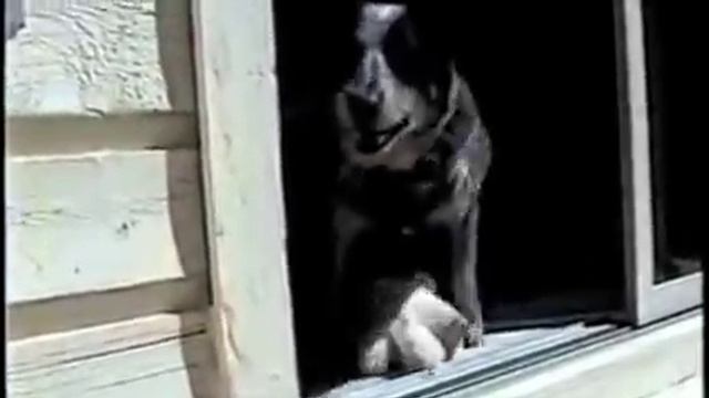 The Balcony Game смотреть онлайн