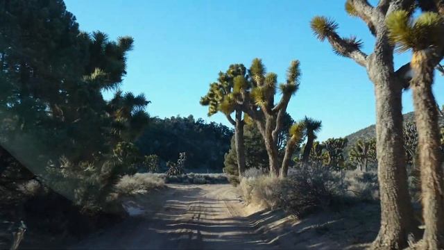 Rivian R1T And R1S Off Roading Adventure - Exploring Burns Canyon In California