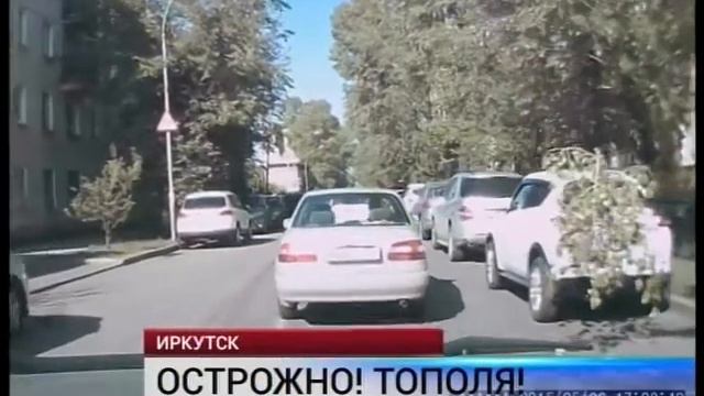 осторожно тополя смотреть онлайн