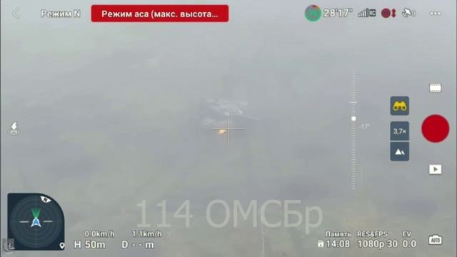 Радость от прибытия Леопардов была преждевременной смотреть онлайн