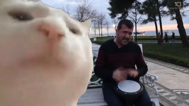 Cat Vibing To Ievan Polkka 10 Hours смотреть онлайн