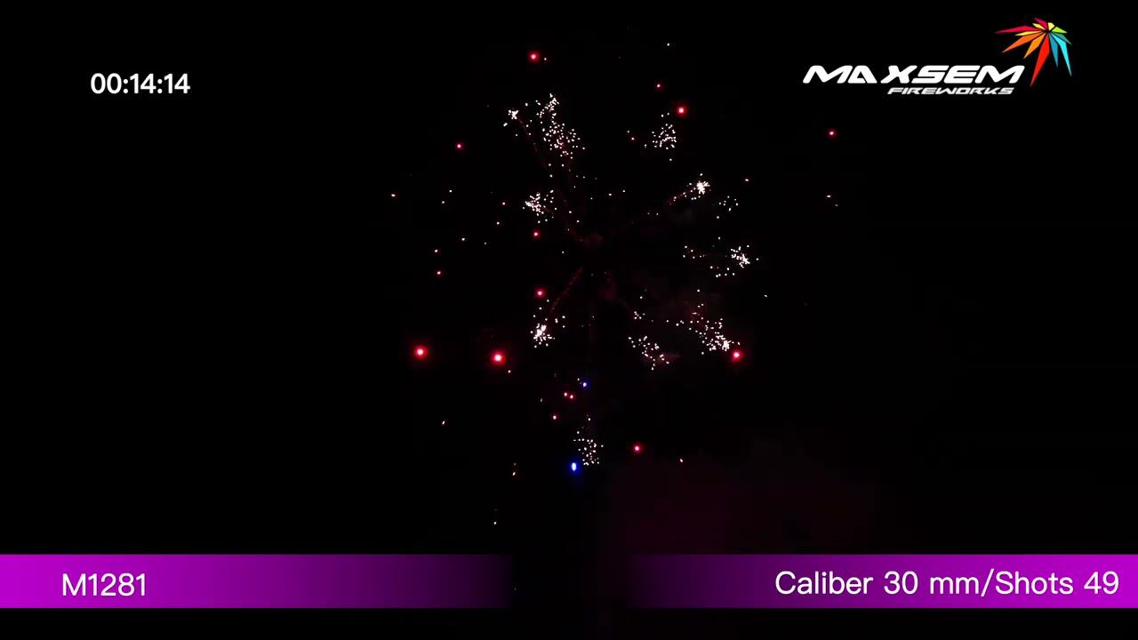 M1281