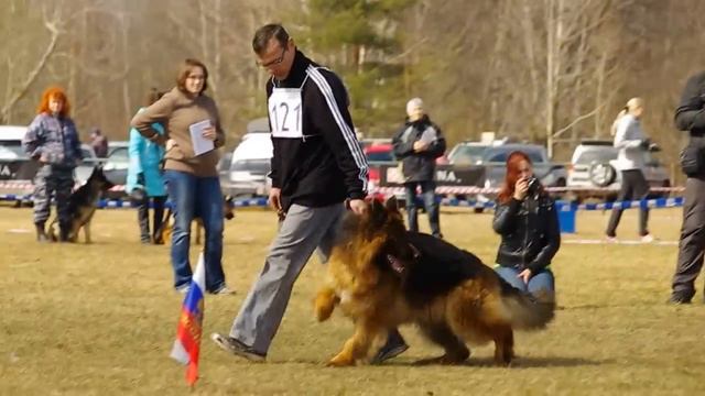 Ингерманландия Александр