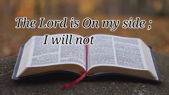Psalms 118: 6 | Bible verses audio | KJV Version смотреть онлайн