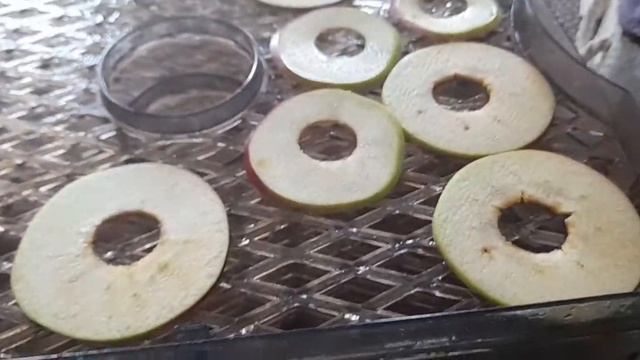 Живопись и Рисование