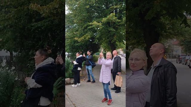 Электронный звонарь и Часы в Зеленоградске. Звон 9. 4й Праздничный. смотреть онлайн