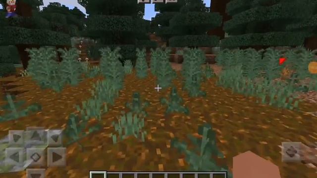 Java Minecraft pe шок? смотреть онлайн