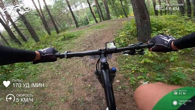 Кросс-кантри Тюмень. Кубок Тюмени 3-тий этап. смотреть онлайн