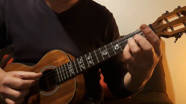 Albator, le corsaire de l'espace (reprise instrumentale à l'ukulélé) смотреть онлайн